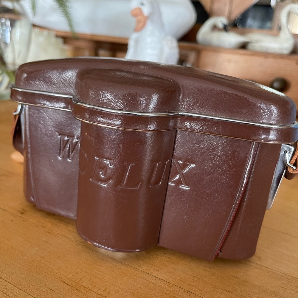 Vintage Widelux f7 with protecter cover